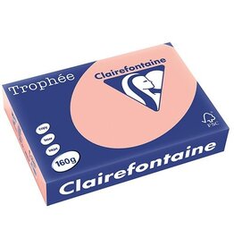 Clairefontaine Clairefontaine Trophée Pastel, gekleurd papier, A4, 160 g, 250 vel, perzik