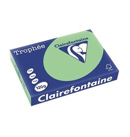 Clairefontaine Trophee A4 120G 250V Natuurgrn [1st]