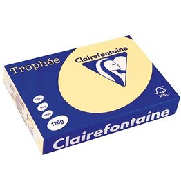 Clairefontaine Clairefontaine Trophée Pastel, gekleurd papier, A4, 120 g, 250 vel, kanariegeel