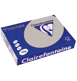 Clairefontaine Trophee A4 120G 250V Lichtgrs [1st]