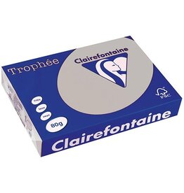 Clairefontaine Clairefontaine Trophée gekleurd papier, A4, 80 g, 500 vel, lichtgrijs