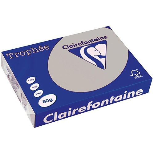Clairefontaine Clairefontaine Trophée gekleurd papier, A4, 80 g, 500 vel, lichtgrijs