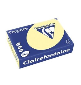 Clairefontaine Clairefontaine Trophée Pastel, gekleurd papier, A4, 210 g, 250 vel, kanariegeel