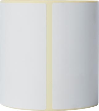 Brother Brother voorgesneden etiketten voor direct thermisch printen, ft 102 x 152 mm, pak van 350 etiketten