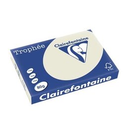 Clairefontaine Clairefontaine Trophée Pastel, gekleurd papier, A3, 80 g, 500 vel, parelgrijs