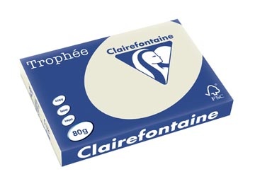 Clairefontaine Clairefontaine Trophée Pastel, gekleurd papier, A3, 80 g, 500 vel, parelgrijs