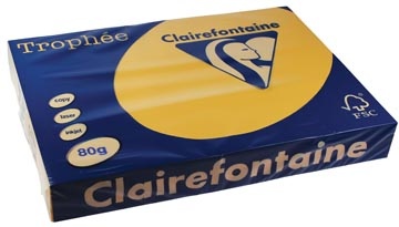Clairefontaine Clairefontaine Trophée Pastel, gekleurd papier, A3, 80 g, 500 vel, goudgeel