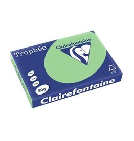 Clairefontaine Clairefontaine Trophée Pastel, gekleurd papier, A3, 80 g, 500 vel, natuurgroen