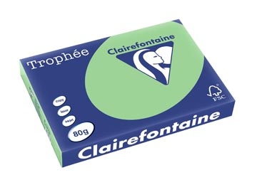 Clairefontaine Clairefontaine Trophée Pastel, gekleurd papier, A3, 80 g, 500 vel, natuurgroen