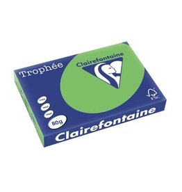 Clairefontaine Clairefontaine Trophée Intens, gekleurd papier, A3, 80 g, 500 vel, muntgroen