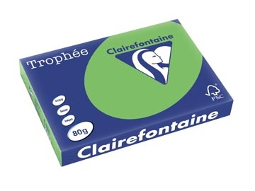 Clairefontaine Clairefontaine Trophée Intens, gekleurd papier, A3, 80 g, 500 vel, muntgroen