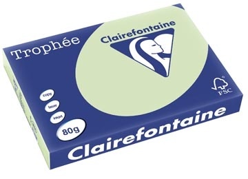 Clairefontaine Clairefontaine Trophée Pastel, gekleurd papier, A3, 80 g, 500 vel, golfgroen