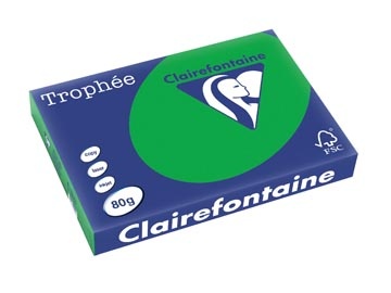 Clairefontaine Clairefontaine Trophée Intens, gekleurd papier, A3, 80 g, 500 vel, bijartgroen
