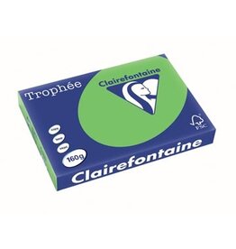Clairefontaine Clairefontaine Trophée Intens, gekleurd papier, A3, 160 g, 250 vel, grasgroen