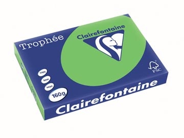 Clairefontaine Clairefontaine Trophée Intens, gekleurd papier, A3, 160 g, 250 vel, grasgroen