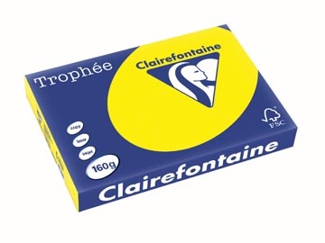Clairefontaine Clairefontaine Trophée Intens, gekleurd papier, A3, 160 g, 250 vel, zonnegeel