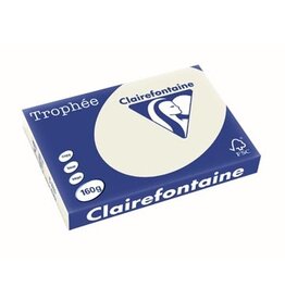 Clairefontaine Clairefontaine Trophée Pastel, gekleurd papier, A3, 160 g, 250 vel, parelgrijs