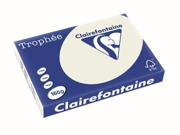 Clairefontaine Clairefontaine Trophée Pastel, gekleurd papier, A3, 160 g, 250 vel, parelgrijs