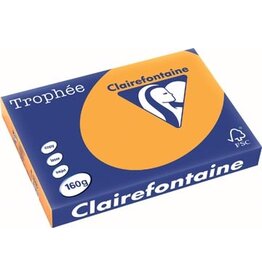 Clairefontaine Clairefontaine Trophée Pastel, gekleurd papier, A3, 160 g, 250 vel, oranje