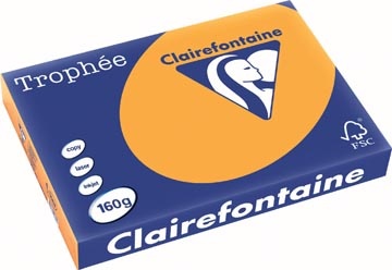 Clairefontaine Clairefontaine Trophée Pastel, gekleurd papier, A3, 160 g, 250 vel, oranje