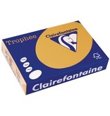 Clairefontaine Clairefontaine Trophée Pastel, gekleurd papier, A4, 160 g, 250 vel, mokkabruin