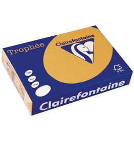 Clairefontaine Clairefontaine Trophée Pastel, gekleurd papier, A4, 160 g, 250 vel, mokkabruin