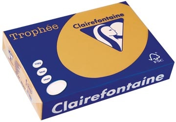 Clairefontaine Clairefontaine Trophée Pastel, gekleurd papier, A4, 160 g, 250 vel, mokkabruin