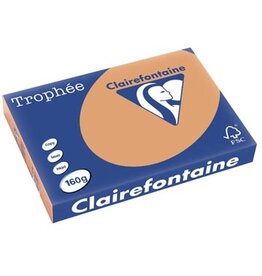 Clairefontaine Clairefontaine Trophée Pastel, gekleurd papier, A3, 160 g, 250 vel, mokkabruin