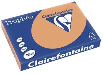 Clairefontaine Clairefontaine Trophée Pastel, gekleurd papier, A3, 160 g, 250 vel, mokkabruin