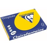 Clairefontaine Clairefontaine Trophée Pastel, gekleurd papier, A3, 160 g, 250 vel, goudgeel