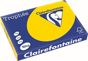 Clairefontaine Clairefontaine Trophée Pastel, gekleurd papier, A3, 160 g, 250 vel, goudgeel