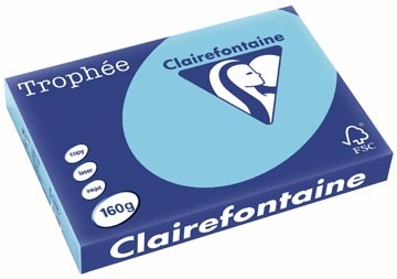 Clairefontaine Clairefontaine Trophée Pastel, gekleurd papier, A3, 160 g, 250 vel, helblauw