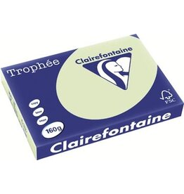 Clairefontaine Clairefontaine Trophée Pastel, gekleurd papier, A3, 160 g, 250 vel, golfgroen