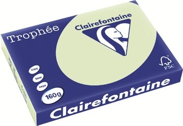 Clairefontaine Clairefontaine Trophée Pastel, gekleurd papier, A3, 160 g, 250 vel, golfgroen