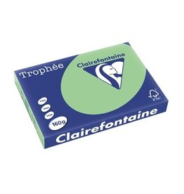 Clairefontaine Clairefontaine Trophée Pastel, gekleurd papier, A3, 160 g, 250 vel, natuurgroen