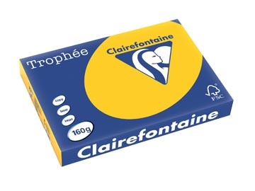 Clairefontaine Clairefontaine Trophée Intens, gekleurd papier, A3, 160 g, 250 vel, zonnebloemgeel