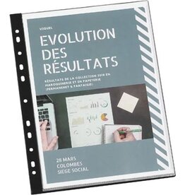 Viquel Viquel Showalb 11-Gaat A4 20P 1 St