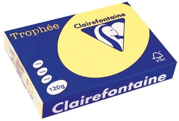 Clairefontaine Clairefontaine Trophée Pastel, gekleurd papier, A4, 120 g, 250 vel, citroengeel
