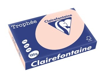 Clairefontaine Clairefontaine Trophée Pastel, gekleurd papier, A4, 120 g, 250 vel, zalm