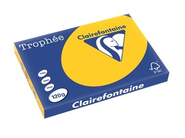 Clairefontaine Trophee A3 120G 250V Zonnebl 1 STUK