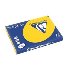 Clairefontaine Trophee A3 120G 250V Goudgeel 1 St