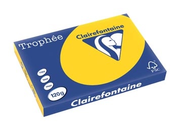 Clairefontaine Trophee A3 120G 250V Goudgeel 1 STUK