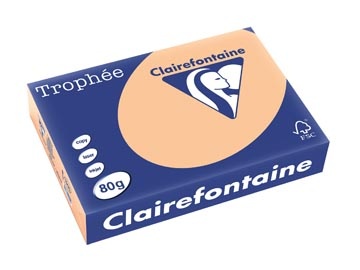 Clairefontaine Clairefontaine Trophée gekleurd papier, A4, 80 g, 500 vel, abrikoos