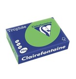Clairefontaine Clairefontaine Trophée Intens, gekleurd papier, A4, 210 g, 250 vel, grasgroen