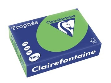 Clairefontaine Clairefontaine Trophée Intens, gekleurd papier, A4, 210 g, 250 vel, grasgroen