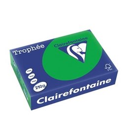 Clairefontaine Clairefontaine Trophée Intens, gekleurd papier, A4, 210 g, 250 vel, bijartgroen