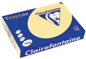 Clairefontaine Clairefontaine Trophée Pastel, gekleurd papier, A4, 160 g, 250 vel, kanariegeel