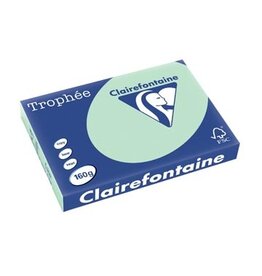 Clairefontaine Clairefontaine Trophée Pastel, gekleurd papier, A3, 160 g, 250 vel, groen