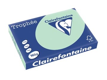 Clairefontaine Clairefontaine Trophée Pastel, gekleurd papier, A3, 160 g, 250 vel, groen
