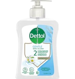 Dettol Dettol Handzeep Kamille 250Ml 1 St